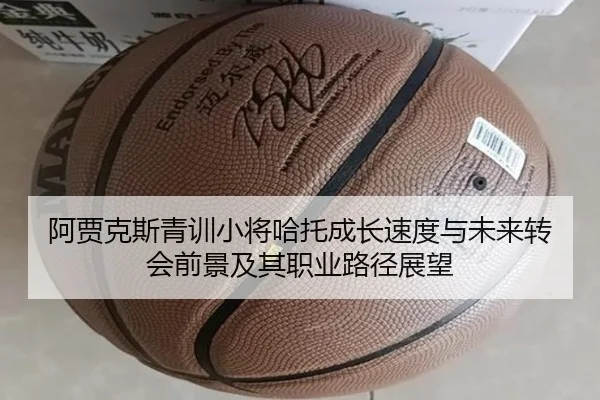 阿贾克斯青训小将哈托成长速度与未来转会前景及其职业路径展望